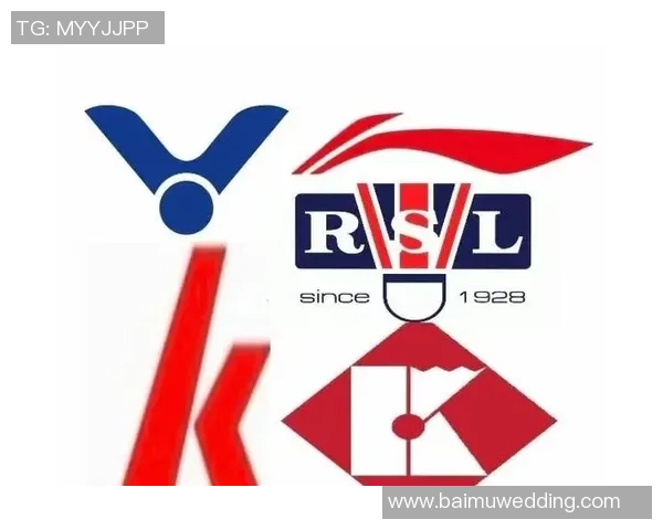 羽毛球装备选购指南及必备训练器材推荐详解