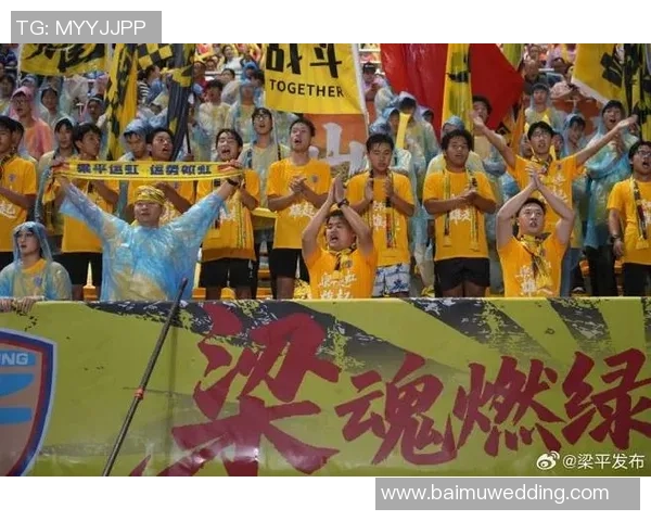 重庆足球队实力变革引发热议球迷期待新篇章